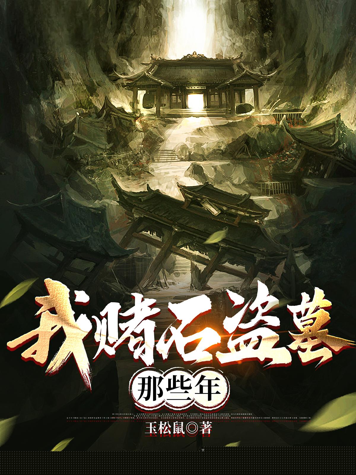 我赌石盗墓那些年